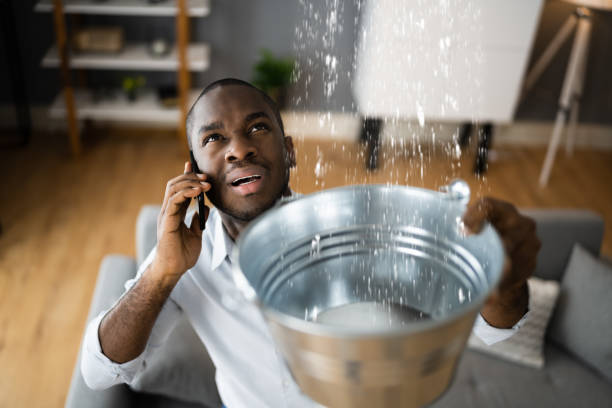 Best 24/7 water damage repair  in Speers, PA