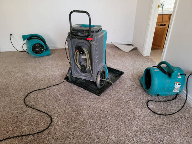 Best Local water damage restoration  in Speers, PA
