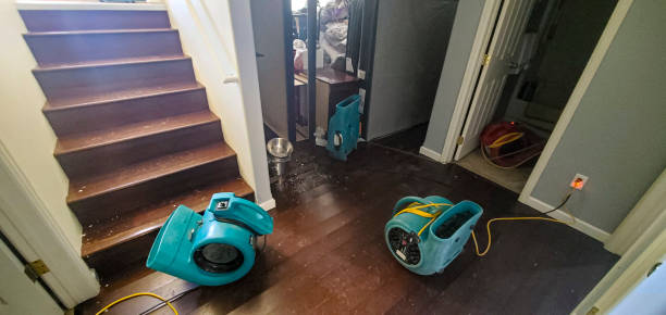 Best Sewage cleanup and water damage restoration  in Speers, PA