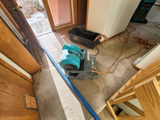 Best Water damage restoration near me  in Speers, PA
