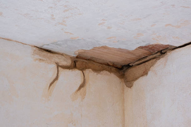 Reliable Speers, PA Water damage restoration Solutions