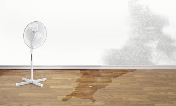 Best Ceiling water damage repair  in Speers, PA