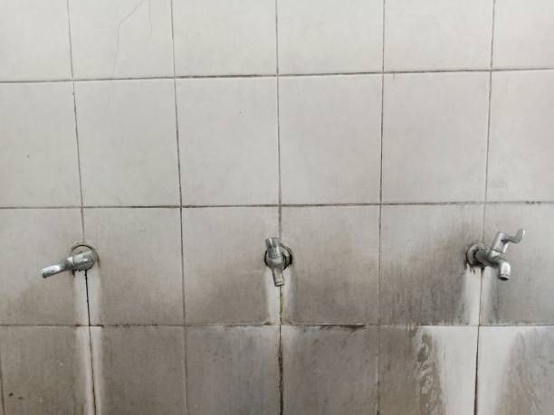 Carpet water damage restoration in Speers, PA