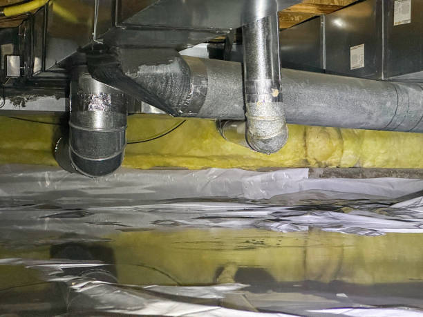 Best Water damage cleanup near me  in Speers, PA
