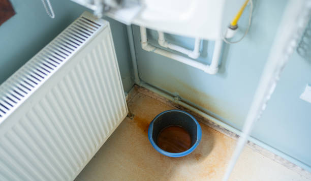 Best Mold removal after water damage  in Speers, PA