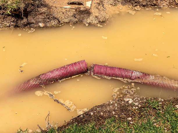 Best Mold removal after water damage  in Speers, PA