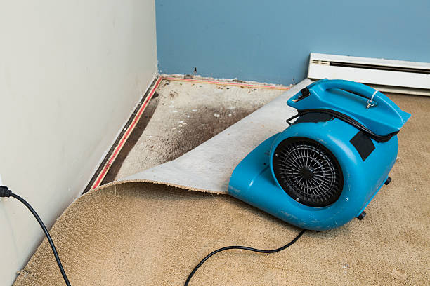 Best Professional water damage repair  in Speers, PA