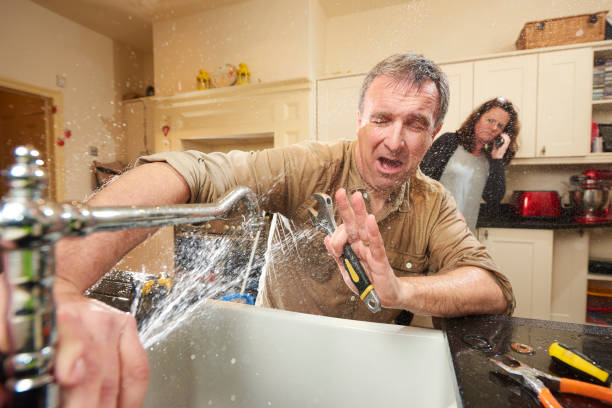 Best Flooded house restoration  in Speers, PA